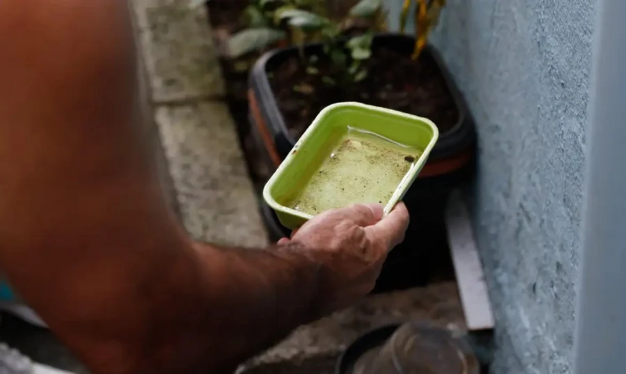 El Niño pode aumentar casos de chikungunya e dengue no Brasil